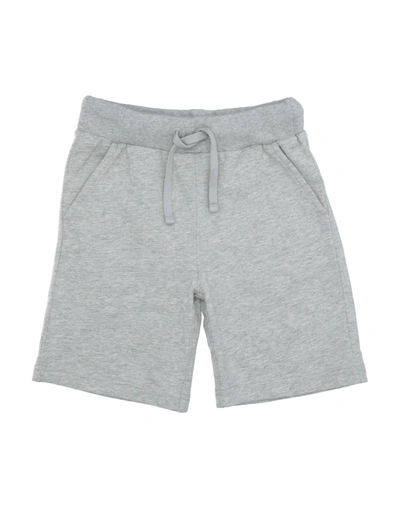 North Sails Kids'  Toddler Boy Shorts & Bermuda Shorts Light Grey Size 6 Cotton