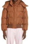 Alexander Mcqueen Graffiti Logo Puffer Jacket In Cedar