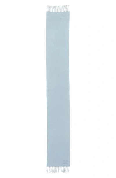 Max Mara Cashmere Scarf In 030 Light Blue