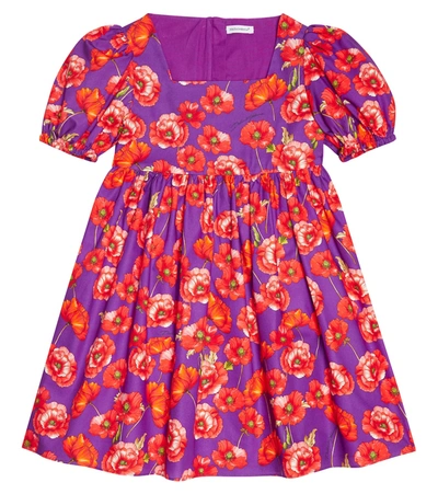 Dolce & Gabbana Kids' Floral Cotton Dress In Papaveri Fdo Viola
