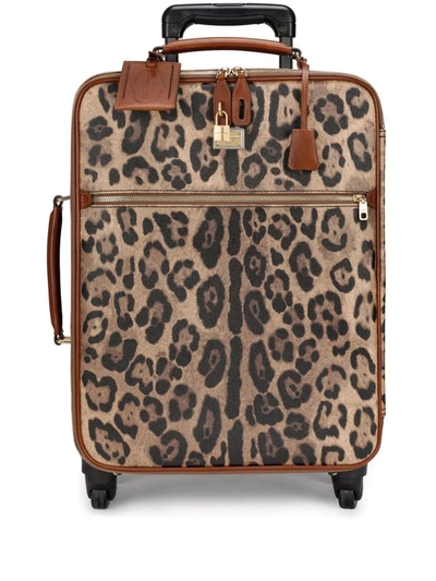 Dolce & Gabbana Medium Leopard-print Crespo Trolley Suitcase In Brown