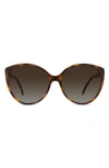 Fendi Polarized Round Sunglasses, 59mm In Havana/brown