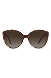 Fendi Polarized Round Sunglasses, 59mm In Havana