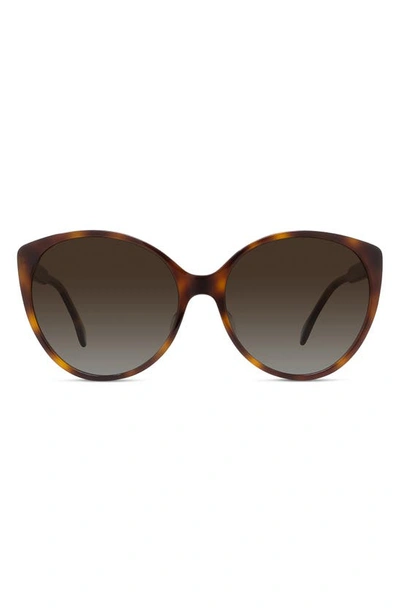 Fendi Polarized Round Sunglasses, 59mm In Havana