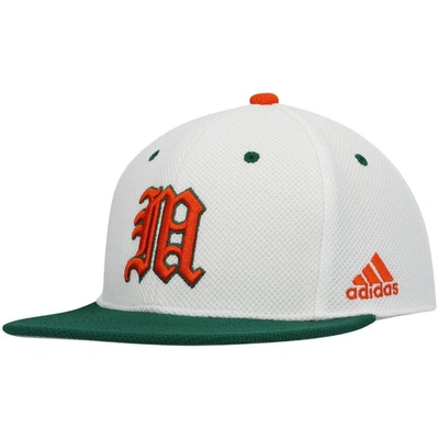 Adidas Originals Adidas White Miami Hurricanes On-field Baseball Fitted Hat In White,green