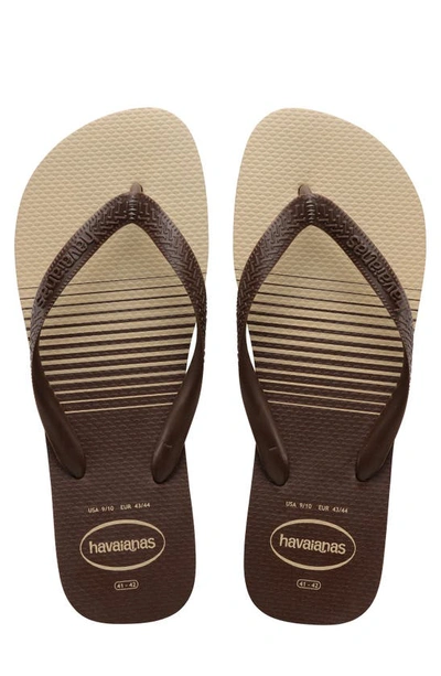 Havaianas Top Basic Flip Flop In Dark Brown