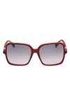 Max Mara 60mm Gradient Square Sunglasses In Shiny Bilayer Bordeaux Red