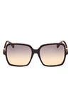 Max Mara 60mm Gradient Square Sunglasses In Shiny Bilayer Black Havana