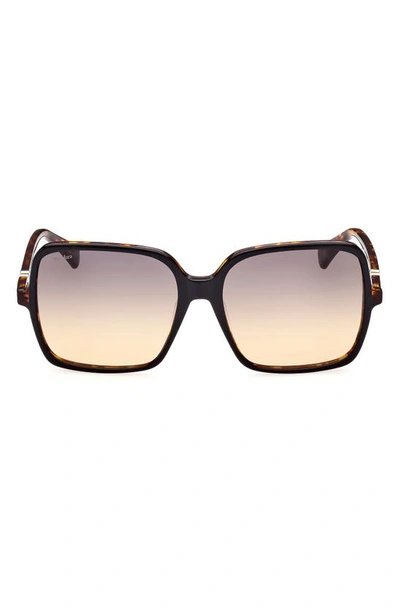 Max Mara 60mm Gradient Square Sunglasses In Shiny Bilayer Black Havana