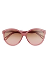 Chloé 58mm Gradient Panthos Sunglasses In Burgundy