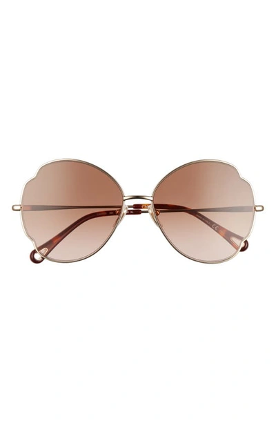 Chloé 60mm Gradient Butterfly Sunglasses In Gold/brown
