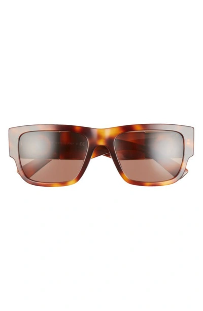 Versace 56mm Rectangle Sunglasses In Havana/ Dark Brown