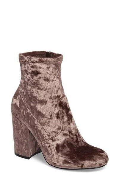 Steve Madden Gaze Bootie In Mushroom Velvet