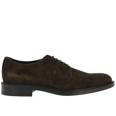 Tod's Brogue Shoes Shoes Men Tods In Brown