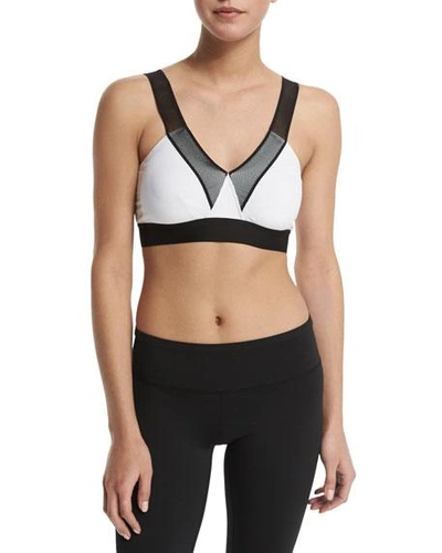 Heroine Sport V-neck Mesh-shoulder Bra, Black/white In Black W/white