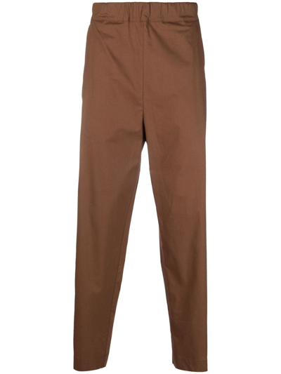 Laneus Baggy Unito Brown Poplin Cotton Trousers With Front Pleat In Braun
