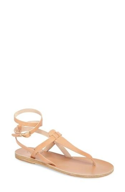 Ancient Greek Sandals Estia Nails Leather Sandals In Neutrals