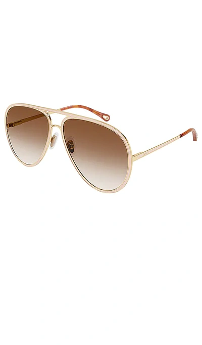 Chloé Vitto Pilot In Shiny Classic Gold & Gradient Brown