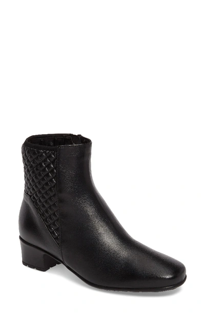 Sesto Meucci Yvet Quilted Leather Booties, Black In Black Leather