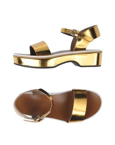 Marni Sandals In Gold