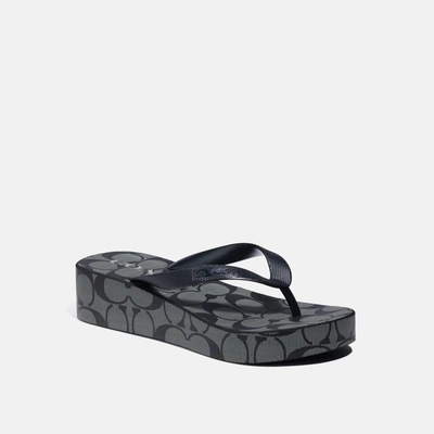 COACH Flip Flops | ModeSens