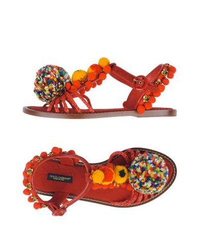 Dolce & Gabbana Sandals In Red