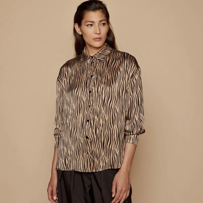 Access Fashion Lilly Blouse In Brown