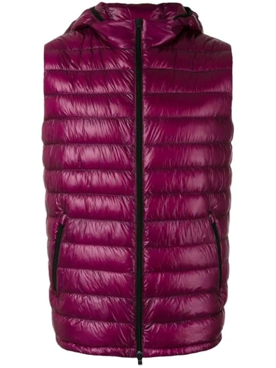 Herno Classic Gilet In Pink