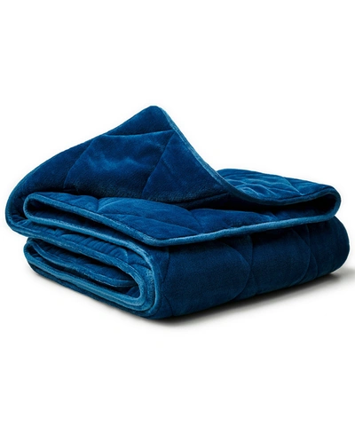 Dream Theory Butter Velvet Weighted Blanket, 48" X 72" Bedding In Navy