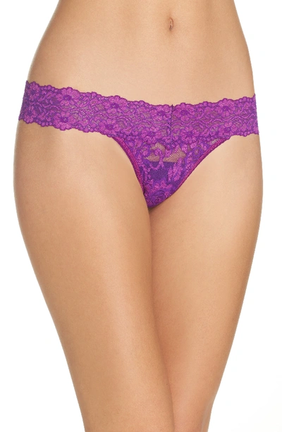 Hanky Panky Cross-dyed Signature Lace Low-rise Thong In Purple Velvet/silk Rose