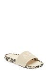 Apl Athletic Propulsion Labs Big Logo Techloom Knit Sport Slide In Parchment / Leopard