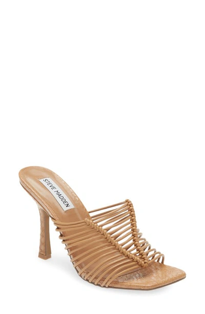 Steve Madden Bonds Sandal In Tan