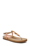 Sam Edelman Naomi Sandal In Ivory / Tan