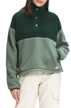 The North Face Cragmont Fleece Pullover Jacket In Green