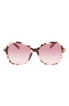 Longchamp 57mm Amazone Modified Rectangle Sunglasses In Rose Havana