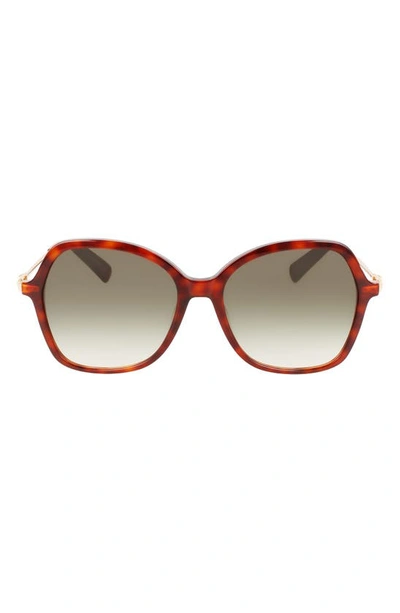 Longchamp 57mm Amazone Modified Rectangle Sunglasses In Havana
