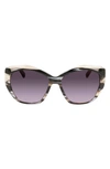 Longchamp 57mm Roseau Tea Cup Sunglasses In Black Horn