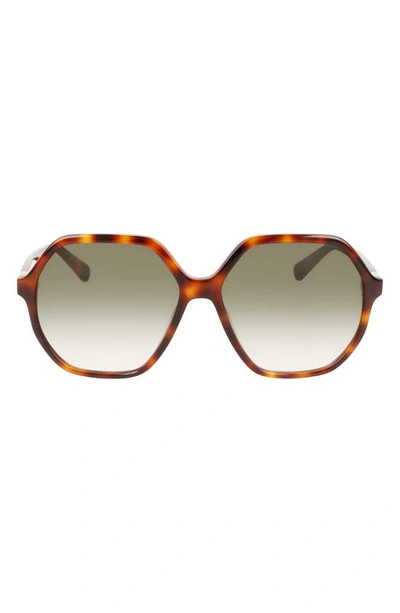 Longchamp 58mm Le Pliage Modified Rectangle Sunglasses In Havana