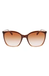 Longchamp 56mm Roseau Tea Cup Sunglasses In Gradient Brown Rose