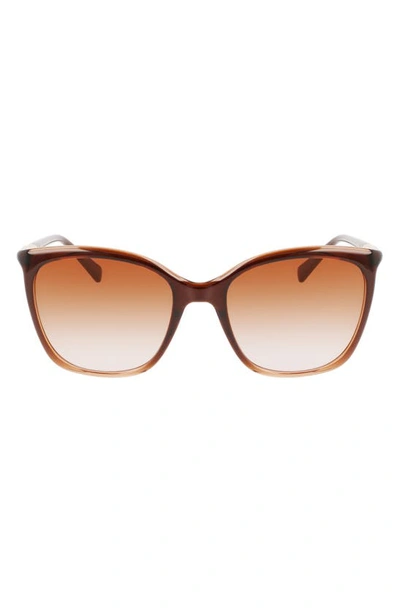 Longchamp 56mm Roseau Tea Cup Sunglasses In Gradient Brown Rose