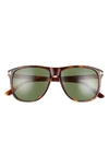 Tom Ford 56mm Polarized Square Sunglasses In Havana/ Green