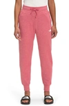 The North Face Canyonlands Joggers In Slate Rose Heather
