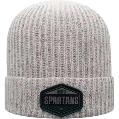 Top Of The World Gray Michigan State Spartans Alp Cuffed Knit Hat