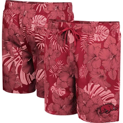 Colosseum Cardinal Arkansas Razorbacks The Dude Swim Shorts