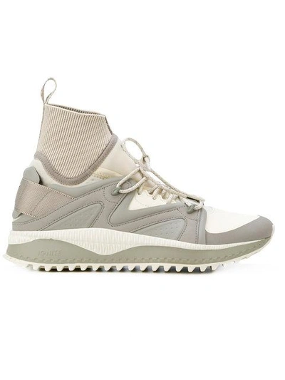 Puma Grey