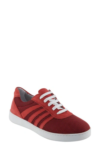 David Tate Cascade Sneaker In Red