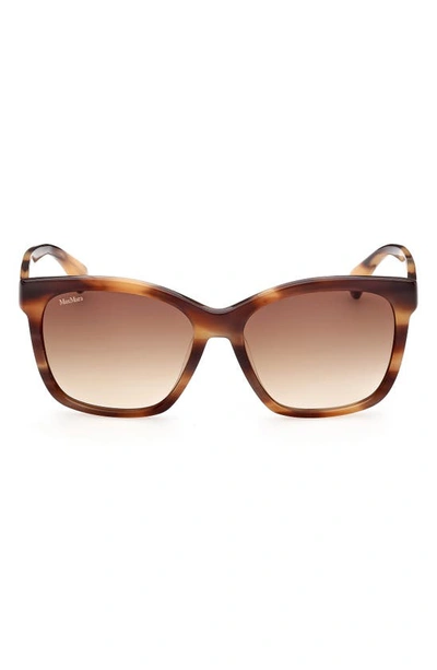 Max Mara 56mm Gradient Square Sunglasses In Shiny Striped Brown / Brown