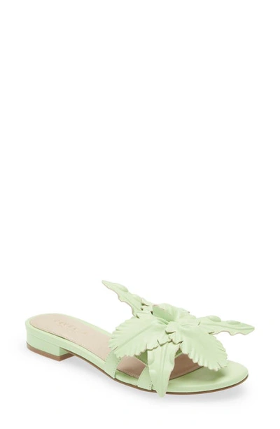 Cecelia New York Lila Slide Sandal In Mint