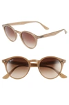 Ray Ban 49mm Retro Sunglasses In Beige