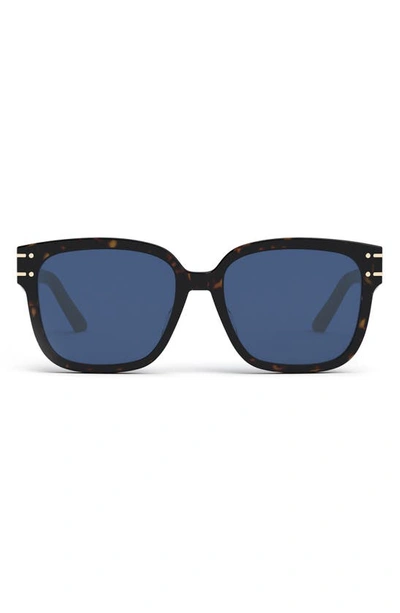Dior Signature 58mm Square Logo Sunglasses In Havana/blue
